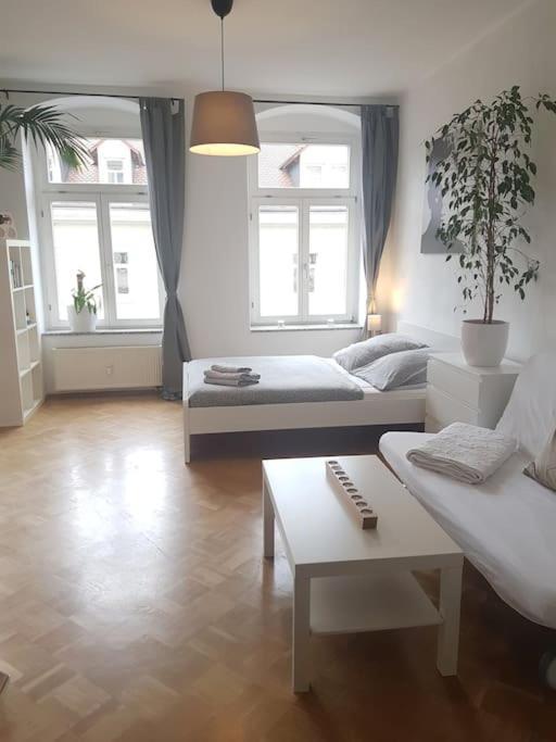 Studio In Dresden Neustadt Louisenstrasse المظهر الخارجي الصورة