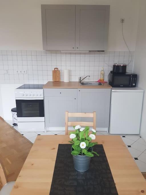 Studio In Dresden Neustadt Louisenstrasse المظهر الخارجي الصورة